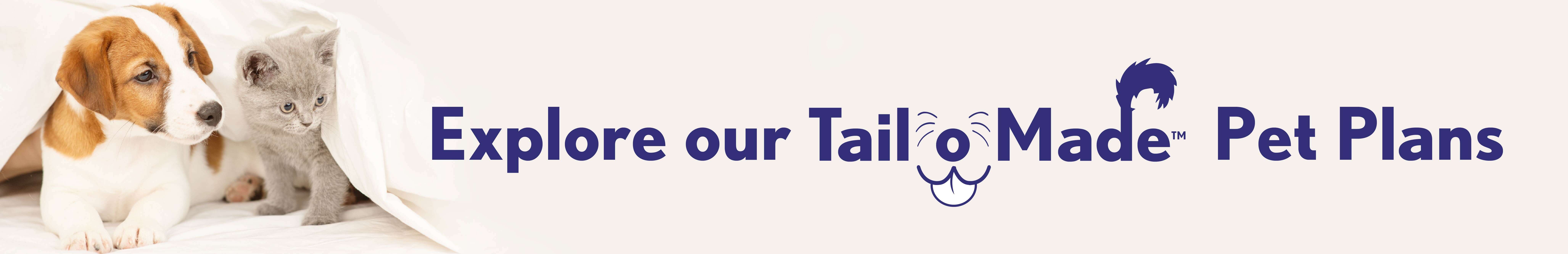 Comprehensive Pet Insurance One Pet